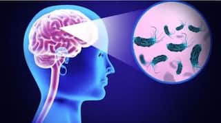 Brain Eating Amoeba: ਦਿਮਾਗ ਖਾਣ ਵਾਲੇ ਕੀੜਿਆਂ ਤੋਂ ਸਾਵਧਾਨ, 70 ਤੋਂ ਵੱਧ ਲੋਕ ਸੰਕਰਮਿਤ 19 ਦੀ ਮੌਤ; ਜਾਣੋ ਕਿੰਨਾ ਘਾਤਕ? ਲੱਛਣ ਅਤੇ ਕਿਵੇਂ ਹੋਏਗਾ ਬਚਾਅ...