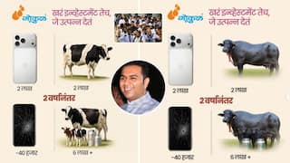 iPhone 17 Price India: दोन लाखांच्या आयफोनपेक्षा दुभत्या गायी, म्हशी बऱ्या; खरी गुंतवणूक तीच जी उत्पन्न देते! गोकुळ अध्यक्ष नाविद मुश्रीफांच्या व्हायरल पोस्टची चांगली चर्चा