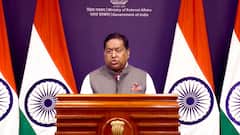 H-1B Visa Curb To Have Humanitarian Consequences, India Studying Impact: MEA