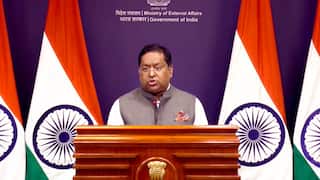 H-1B Visa Curb To Have Humanitarian Consequences, India Studying Impact: MEA