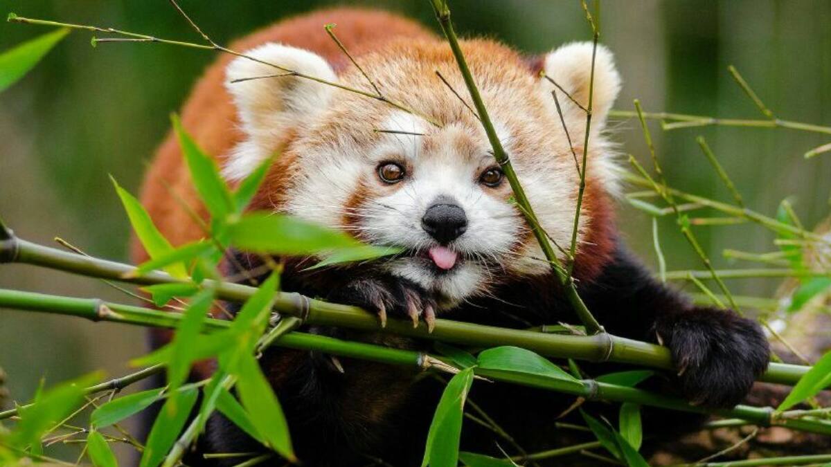 (Image Source: Pinterest/Knock_Not)