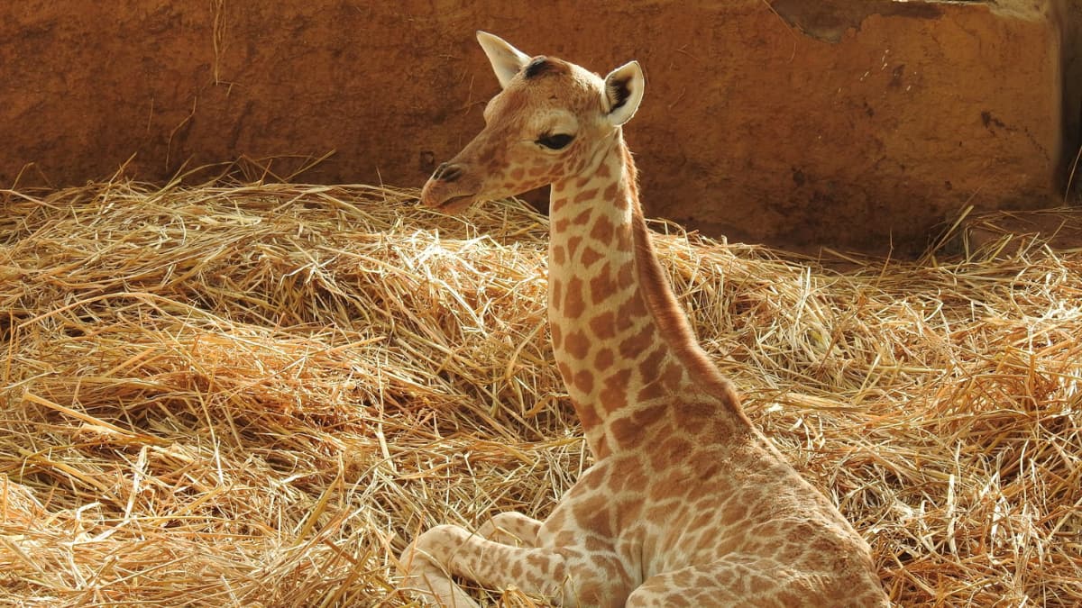 Explore The Top 9 Must-Visit Places In Visakhapatnam: A Complete Travel Guide