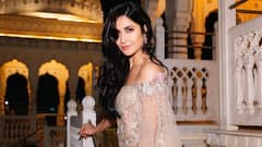 Katrina Kaif Pregnancy Rumours Intensify As Baby Bump Photo Goes Viral