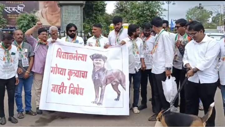 . परंतु, पोलिसांनी आंदोलकांना ताब्यात घेतल्यानंतर या ठिकाणी कार्यकर्ते आणि पोलिसांमध्ये जोरदार झटापट झाली.