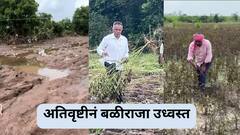 अतिवृष्टीनं बळीराजा उध्वस्त, बीडमध्ये जमीन अक्षरशः खरडून निघाली, हिंगोली, लातूरमध्येही मोठा फटका