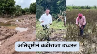 अतिवृष्टीनं बळीराजा उध्वस्त, बीडमध्ये जमीन अक्षरशः खरडून निघाली, हिंगोली, लातूरमध्येही मोठा फटका