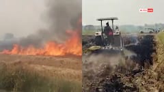 हरियाणा में धान अवशेष जलाया तो किसान होंगे ब्लैकलिस्ट, 2 साल तक नहीं बेच पाएंगे फसल