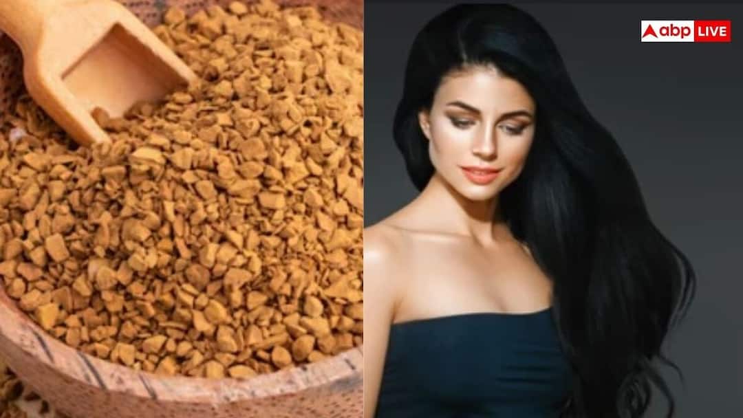 Fenugreek Seeds for Hair Growth: मेथी के बीज से लंबे बाल करने के 5 तरीके, जानिए कैसे करें इस्तेमाल how to consume fenugreek seeds for hair growth Fenugreek Seeds for Hair Growth: मेथी के बीज से लंबे बाल करने के 5 तरीके, जानिए कैसे करें इस्तेमाल