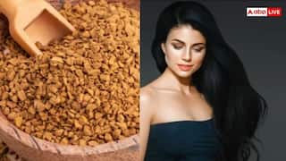 Fenugreek Seeds for Hair Growth: मेथी के बीज से लंबे बाल करने के 5 तरीके, जानिए कैसे करें इस्तेमाल