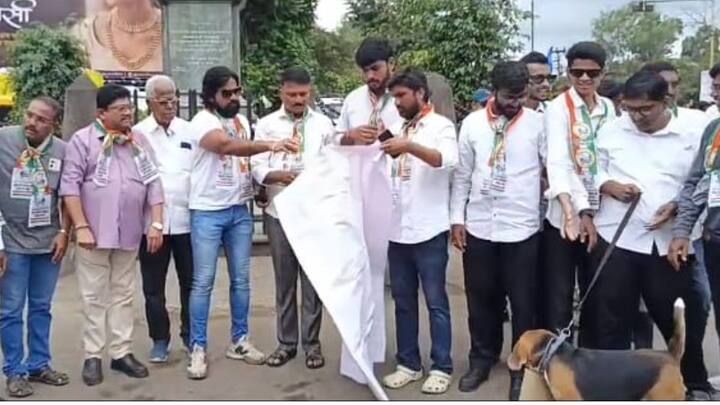 वाचाळवीर आमदारांना मुख्यमंत्री देवेंद्र फडणवीस पाठीशी घालत असल्याचा आरोप देखील शरद पवारांच्या राष्ट्रवादी कडून करण्यात येत आहे.