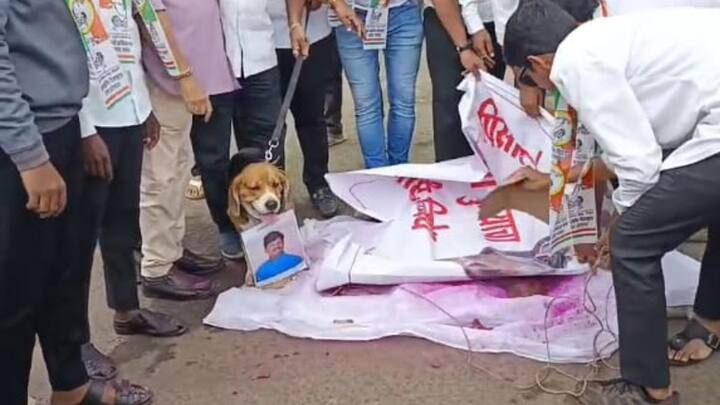 पडळकरांच्या विरोधात विद्यार्थी काँग्रेसच्या पदाधिकाऱ्यांनी प्रचंड घोषणाबाजी करत दसरा चौक परिसर दणाणून सोडला.