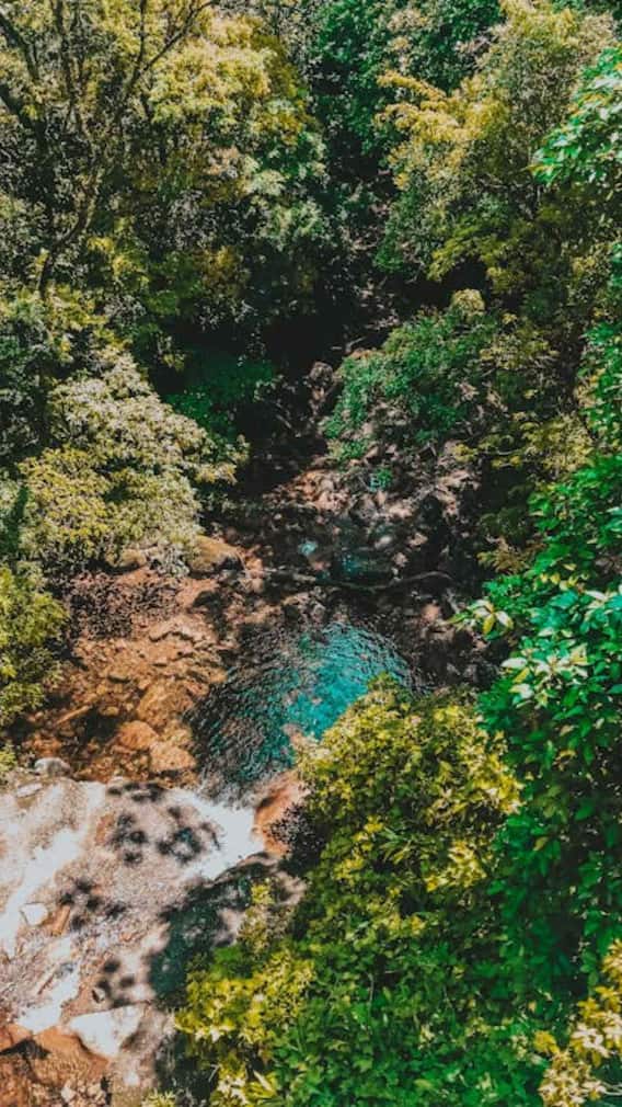 अमेजन जंगल भारत से कितना दूर है?