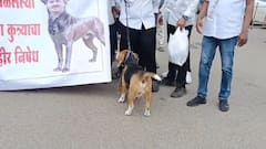 Kolhapur News: भाजप आमदार गोपीचंद पडळकरांची कोल्हापुरात प्रतीकात्मक अंत्ययात्रा; पट्टा घातलेल्या पाळीव श्वानाच्या गळ्यात पडळकरांचा फोटो