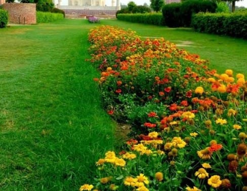 मुगल गार्डन की हरियाली: आगरा के मुगल गार्डन अपनी सुंदरता और शाही अंदाज़ के लिए जाने जाते हैं. यहां की तस्वीरें हरियाली और खूबसूरत डिजाइन को बखूबी दर्शाती हैं.