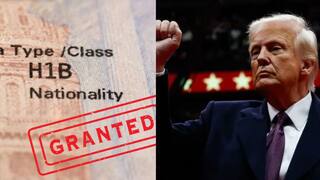 Trump H1B Visa: இந்தியர்களுக்கு பட்டை நாமம்.. விசாவிற்கு ரூ.90 லட்சம் கட்டணம் - அமெரிக்க கனவுக்கு ஆப்படித்த ட்ரம்ப்