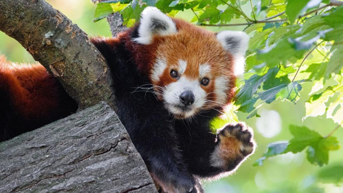 (Image Source: Pinterest/wallpapersHdInfo)