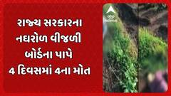 Gujarat Electricity Board negligence: વીજળી બોર્ડની બેદરકારી બની કાળ, નઘરોળ વીજળી બોર્ડના પાપે 4 દિવસમાં 4ના મોત