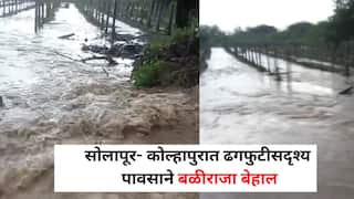सोलापुर- कोल्हापुरात ढगफुटीसदृश्य पावसाने बळीराजा बेहाल, हजारो हेक्टर चिखलात, 50 हजार हेक्टरी मदत देण्याची रोहित पवारांची मागणी