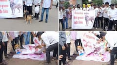 Kolhapur News: भाजप आमदार गोपीचंद पडळकरांची कोल्हापुरात प्रतीकात्मक अंत्ययात्रा; पट्टा घातलेल्या पाळीव श्वानाच्या गळ्यात पडळकरांचा फोटो