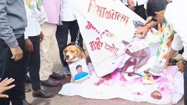 गळ्यात आमदार पडळकर यांचा फोटो घातलेला श्वानही या आंदोलनात सहभागी झाला होता