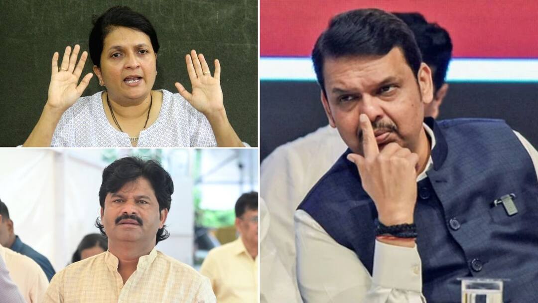 Anjali Damania: फक्त समज दिली? अशा लोकांची गरज फडणवीसांना का भासते? का त्यांना काढून टाकता येत नाही? बेलगाम गोपीचंद पडळकरांवरून अंजली दमानिया फडणवीसांवर बरसल्या Why cant they be removed From the unruly Gopichand Padalkar Anjali Damania lashed out at cm devendra Fadnavis Anjali Damania: फक्त समज दिली? अशा लोकांची गरज फडणवीसांना का भासते? का त्यांना काढून टाकता येत नाही? बेलगाम गोपीचंद पडळकरांवरून अंजली दमानिया फडणवीसांवर बरसल्या