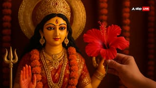 Sharadi Navratri 2025: नवरात्रि के मौके पर मां दुर्गा को गुड़हल का फूल क्यों हैं प्रिय? जानिए इसका कारण