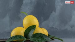 घर पर कैसे उगा सकते हैं रसीले नींबू? ये है किचन गार्डन में पैदावार बढ़ाने का आसान तरीका