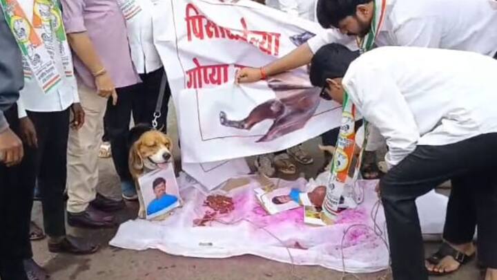 राष्ट्रवादीकडून गोपीचंद पडळकरांच्या प्रतिमेला जोडे मारो आंदोलन करण्यात आलं