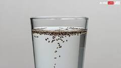 Ajwain vs methi water: अजवाइन का पानी बेस्ट है या मेथी का पानी, जानें वजन घटाने के लिए कौन-सा फॉर्म्युला सबसे अच्छा?