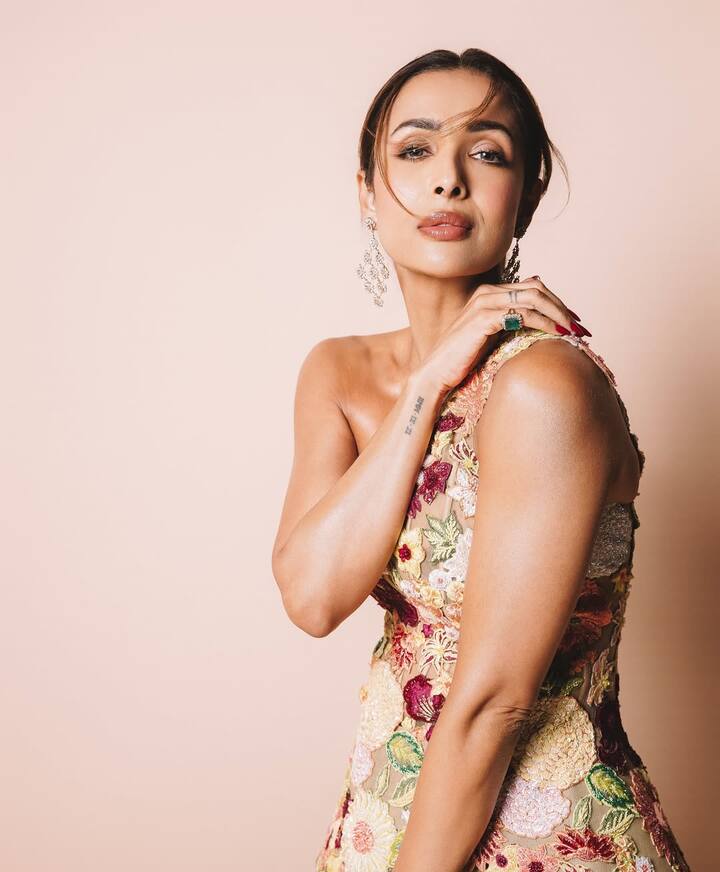 फिटनेस के मामले में वे वाकई इंस्पिरेशन हैं. इन सबके बीचे मलाइका सोशल मीडिया पर भी काफी एक्टिव रहती हैं और अपनी लेटेस्ट तस्वीरें शेयर करती रहती हैं.