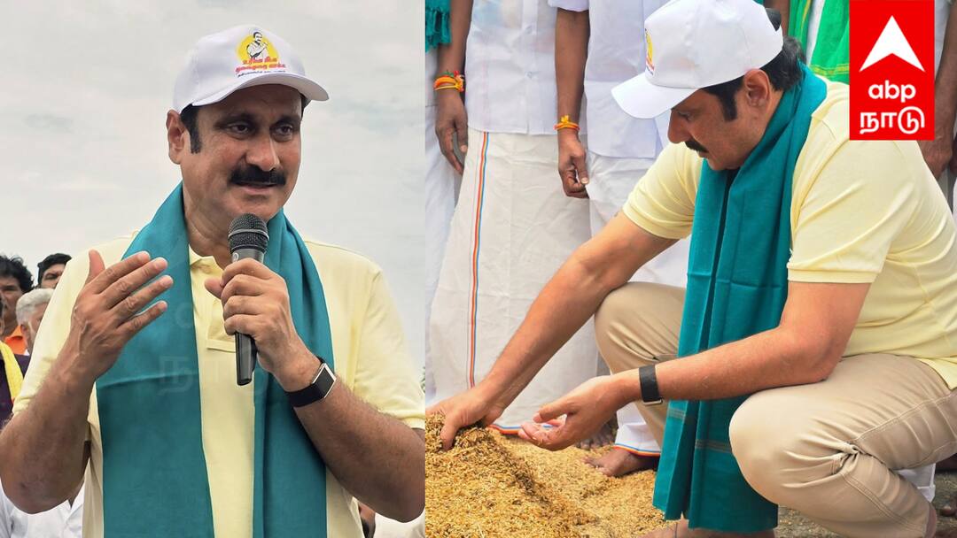 விவசாயிகளின் கண்ணீரை துடைக்க அன்புமணி ராமதாஸ் குரல்! நெல்லுக்கு ₹3500 வழங்க வலியுறுத்தல்! Anbumani Ramadoss voice to wipe the tears of farmers! Insisting on providing ₹3500 for paddy tnn விவசாயிகளின் கண்ணீரை துடைக்க அன்புமணி ராமதாஸ் குரல்! நெல்லுக்கு ₹3500 வழங்க வலியுறுத்தல்!
