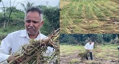 हातातोंडाशी आलेलं उभं पीक वाहून गेलं, बीड जिल्ह्यात अतिवृष्टीनं खरिपाच्या पिकांचं मोठं नुकसान; बळीराज्याच्या डोळ्यात अश्रू!