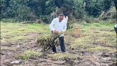 हातातोंडाशी आलेलं उभं पीक वाहून गेलं, बीड जिल्ह्यात अतिवृष्टीनं खरिपाच्या पिकांचं मोठं नुकसान; बळीराज्याच्या डोळ्यात अश्रू!