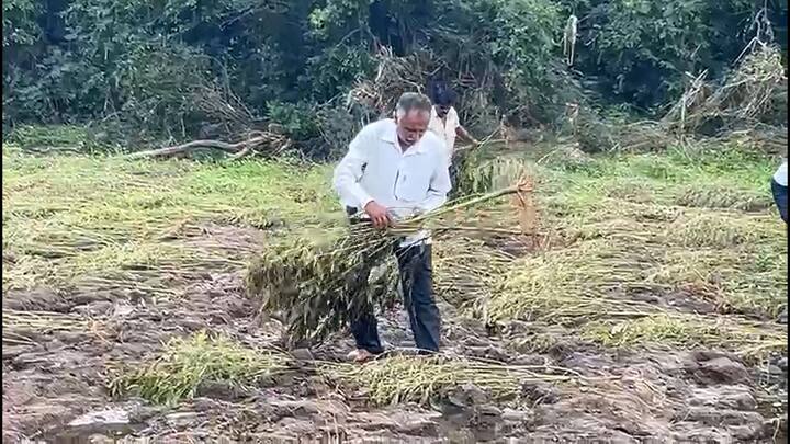 शिरूर तालुक्यातील घाटशीळ पारगावात ही विदारक परिस्थिती निर्माण झालीय. किना नदीकाठी असलेल्या शेत जमिनी खरीपाच्या हंगामातील कापूस, तूर, उडीद यासह केळी सीताफळाच्या बागा नदीच्या पुरात वाहून गेल्यात.