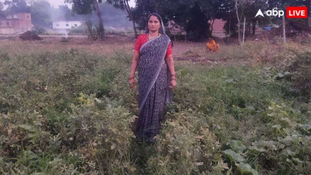 वाराणसी: मोटे अनाजों की प्राकृतिक खेती से संवर रही सुमन देवी की जिंदगी, हजारों महिलाओं की बनीं प्रेरणा UP Varanasi Suman devi Earn Three lakhs per season in 2.5 Acres of land by Farming वाराणसी: मोटे अनाजों की प्राकृतिक खेती से संवर रही सुमन देवी की जिंदगी, हजारों महिलाओं की बनीं प्रेरणा