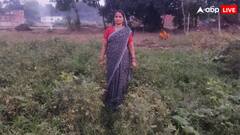 वाराणसी: मोटे अनाजों की प्राकृतिक खेती से संवर रही सुमन देवी की जिंदगी, हजारों महिलाओं की बनीं प्रेरणा