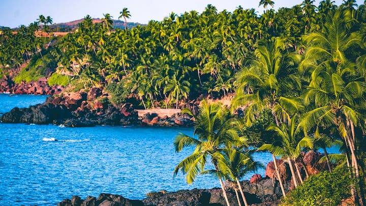 अंततः 1961 में भारत