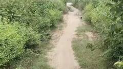 बस्ती के परशुरामपुर ब्लॉक में सरकार नहीं दे पाई पक्की सड़क, खाट पर लाए महिला का शव