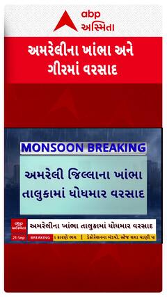 Amreli Rain: અમરેલી જિલ્લાના ખાંભા તાલુકામાં ધોધમાર વરસાદ