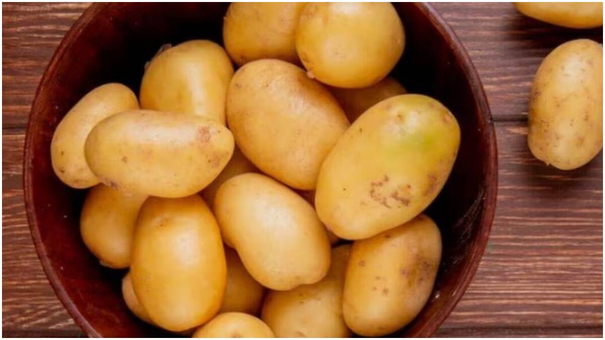 Potatoes for Diabetics : డయాబెటిస్ ఉంటే బంగాళాదుంపలు తినవచ్చా? లేదా? వైద్యులు ఇచ్చే సూచనలు ఇవే
