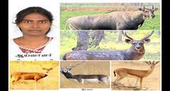 மான் பெயரில் ஊர்கள்: ஆய்வில் ஆச்சரிய தகவல், ஊர்களின் பின்னணி & சங்க இலக்கியம் !