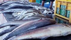 காத்திருந்து... காத்திருந்து கருவாடாக மாறிடுச்சு... நேற்று பாலைவனம் போல் வெறிச்சோடிய தஞ்சை மீன் மார்க்கெட்