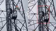 Video: गर्लफ्रेंड नहीं मिली तो गुस्से में टावर पर चढ़ा सनकी आशिक, लोग बोल- अब दिख गई क्या?