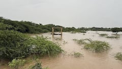 Barshi Rain: बार्शीत ढगफुटी, 4 नद्यांना पूर, बळीराजाच्या डोळ्यात अश्रू; पीकांसह शेती पाण्यात, नेतेमंडळी शेतात