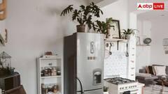 फ्रिज के ऊपर कभी नहीं रखनी चाहिए ये चीजें, वरना रोजाना पैसा खर्च कराएगा रेफ्रिजरेटर