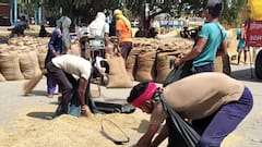 हरियाणा में धान की सरकारी खरीद शुरू, लेकिन किसान निराश, जानें क्या है वजह?