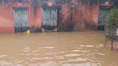 गावात पाणी, घरात पाणी, शेतातली पीकं पडली आडवी; सोलापूर, धाराशिवमध्ये शेतकऱ्यांच्या डोळ्यात अश्रूंच्या धारा