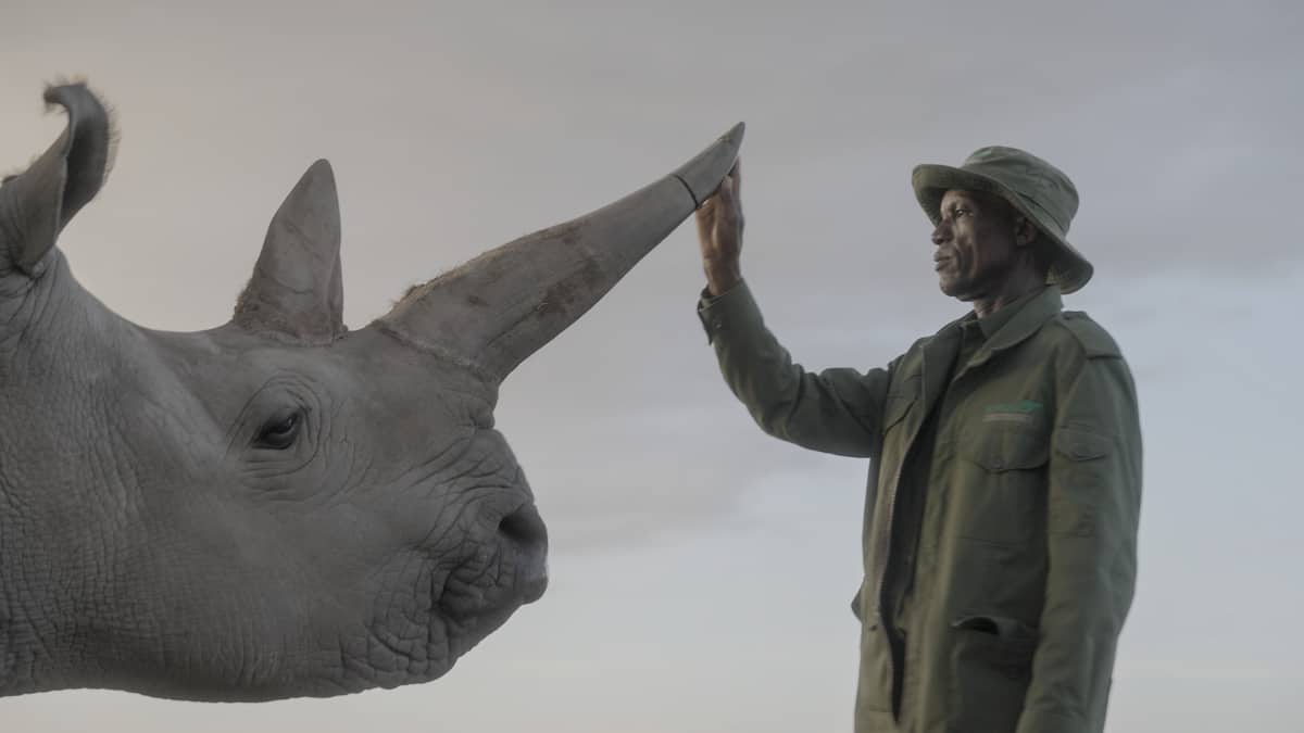 World Rhino Day 2025: 6 Fascinating Facts About Rhinos You Probably Didn’t Know