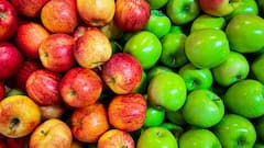 Northern Railways Introduces Container-Based Wagons To Ferry Apples From Kashmir