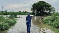 Barshi Rain: बार्शीत ढगफुटी, 4 नद्यांना पूर, बळीराजाच्या डोळ्यात अश्रू; पीकांसह शेती पाण्यात, नेतेमंडळी शेतात